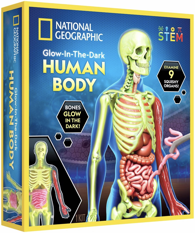 Set educativ - Glow in the Dark - Human Body | National Geographic