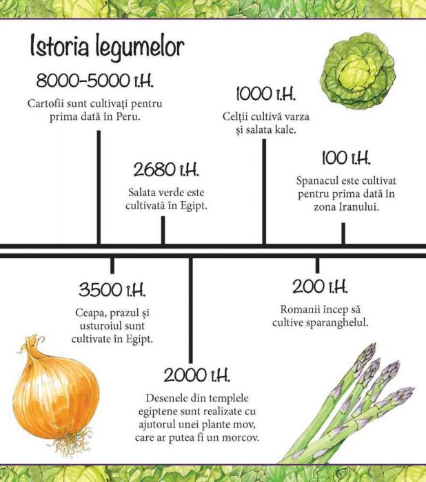 Nu ai vrea sa traiesti fara legume! | Alex Woolf - 2 | YEO