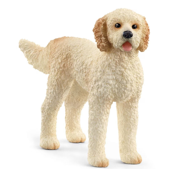 Figurine - Schleich - Goldendoodle | Schleich