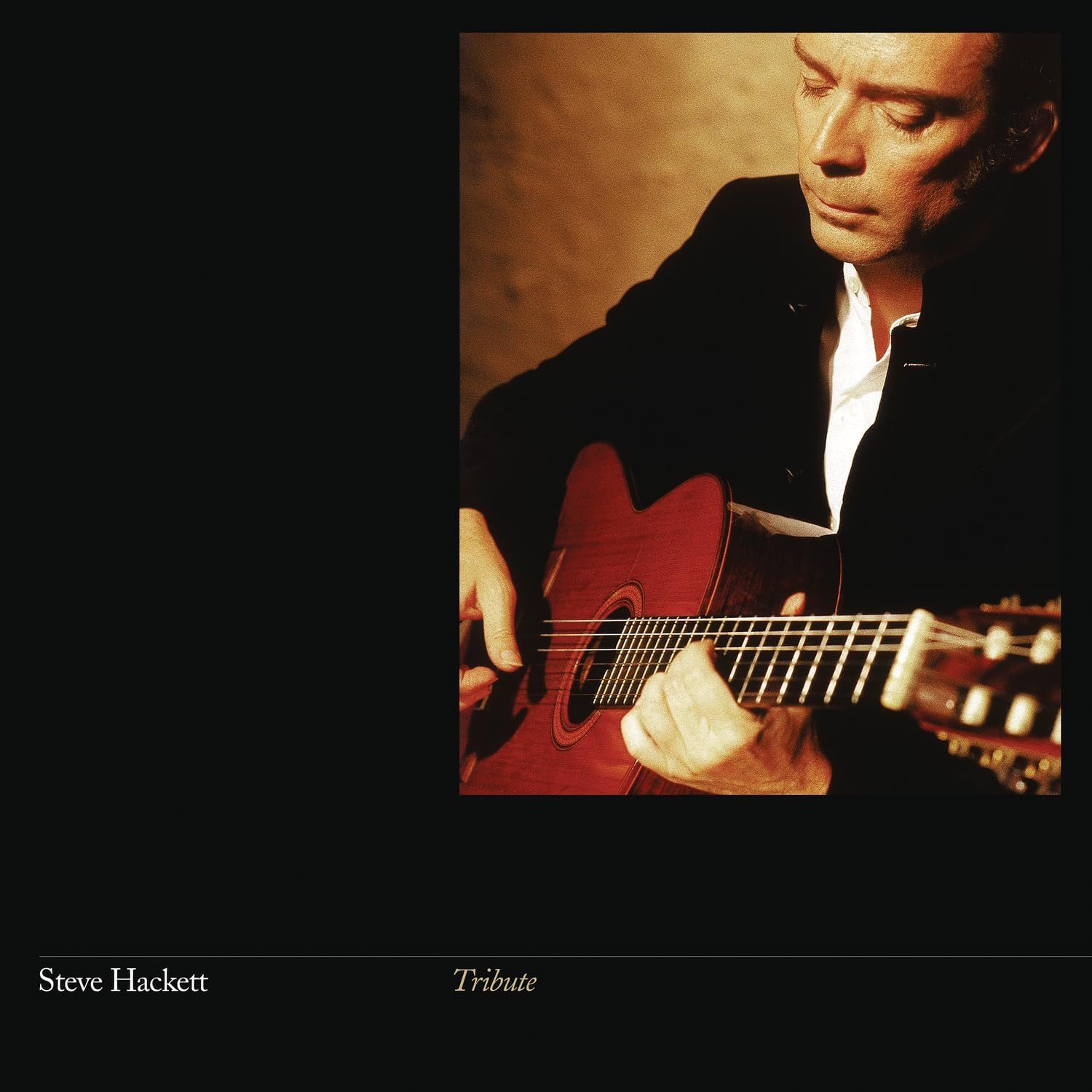 Tribute - Vinyl | Steve Hackett