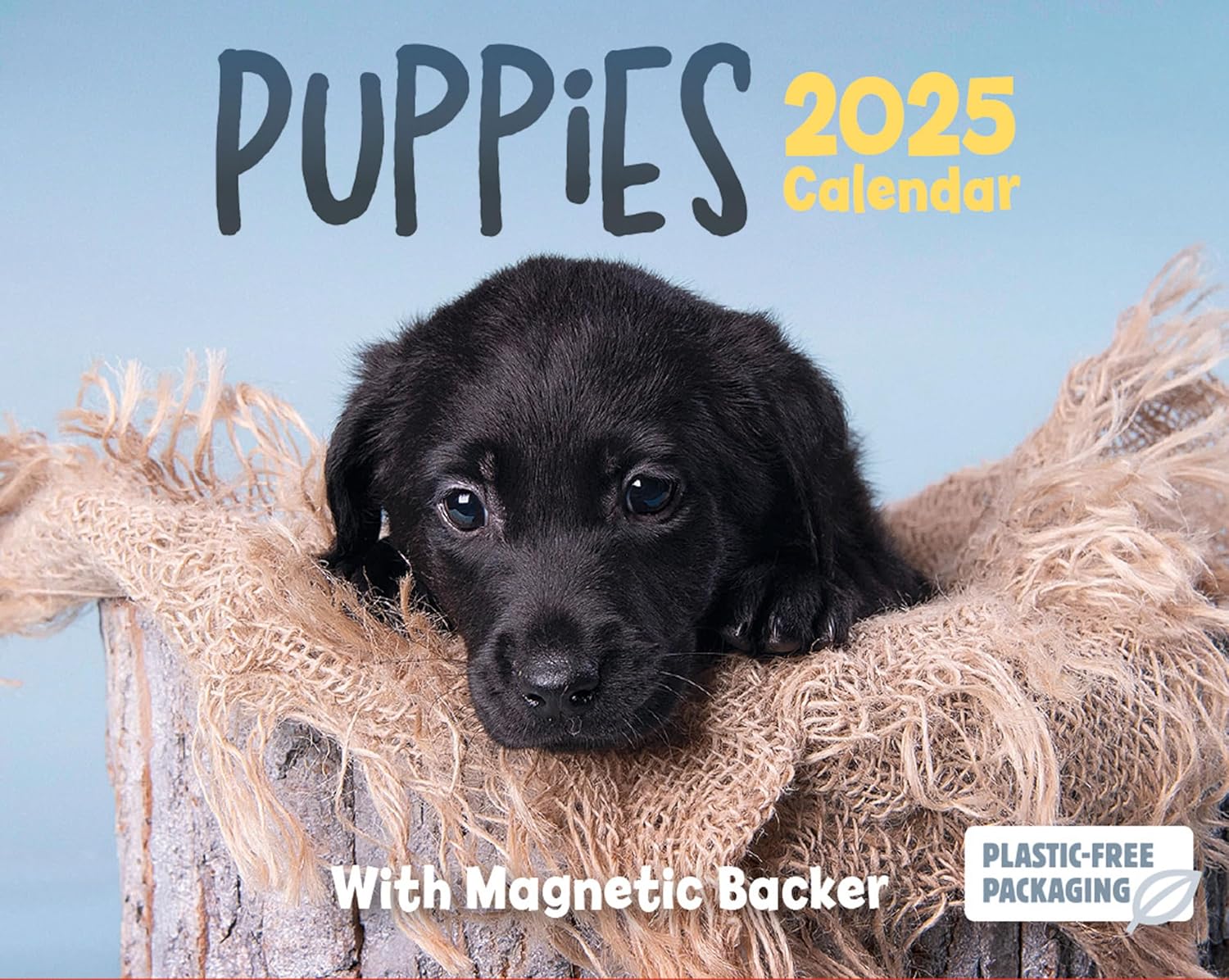 Calendar de birou 2025 - Mini - Puppies | Carousel - 5 | YEO