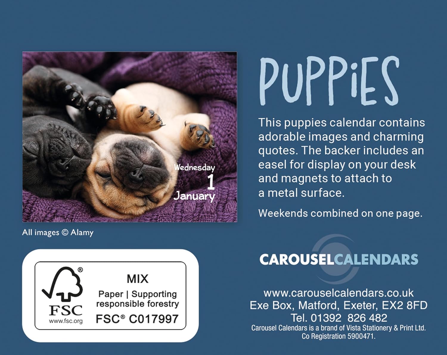 Calendar de birou 2025 - Mini - Puppies | Carousel