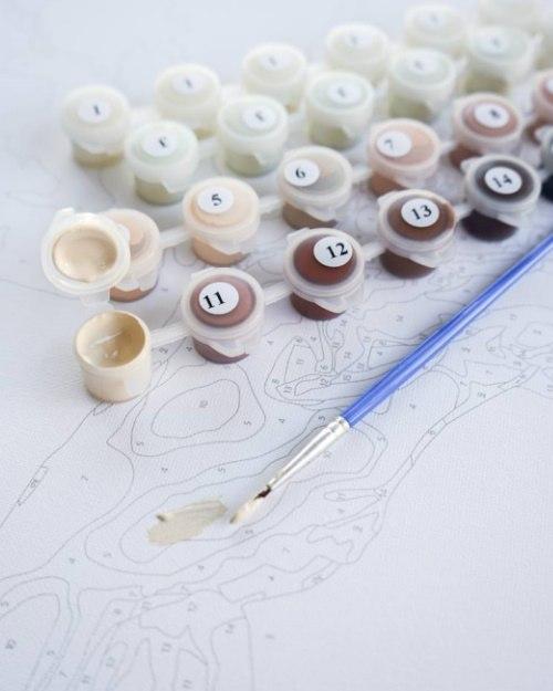 Set pictura pe numere - Cadouri de Craciun | Brushme