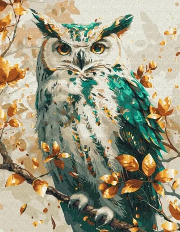 Set pictura pe numere - Emerald Owl | Brushme