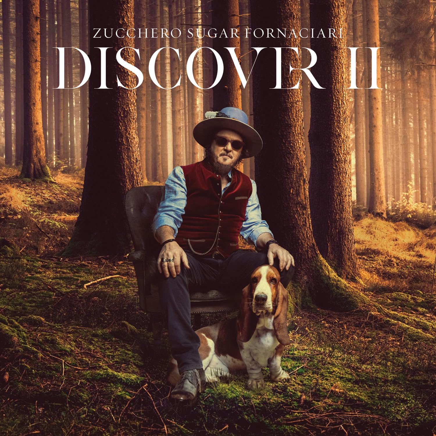 Discover II - Vinyl | Zucchero - 1 | YEO