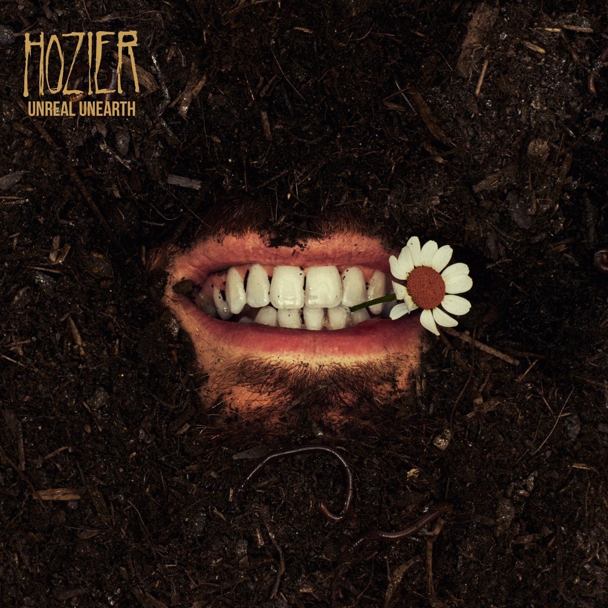 Unreal Unearth | Hozier