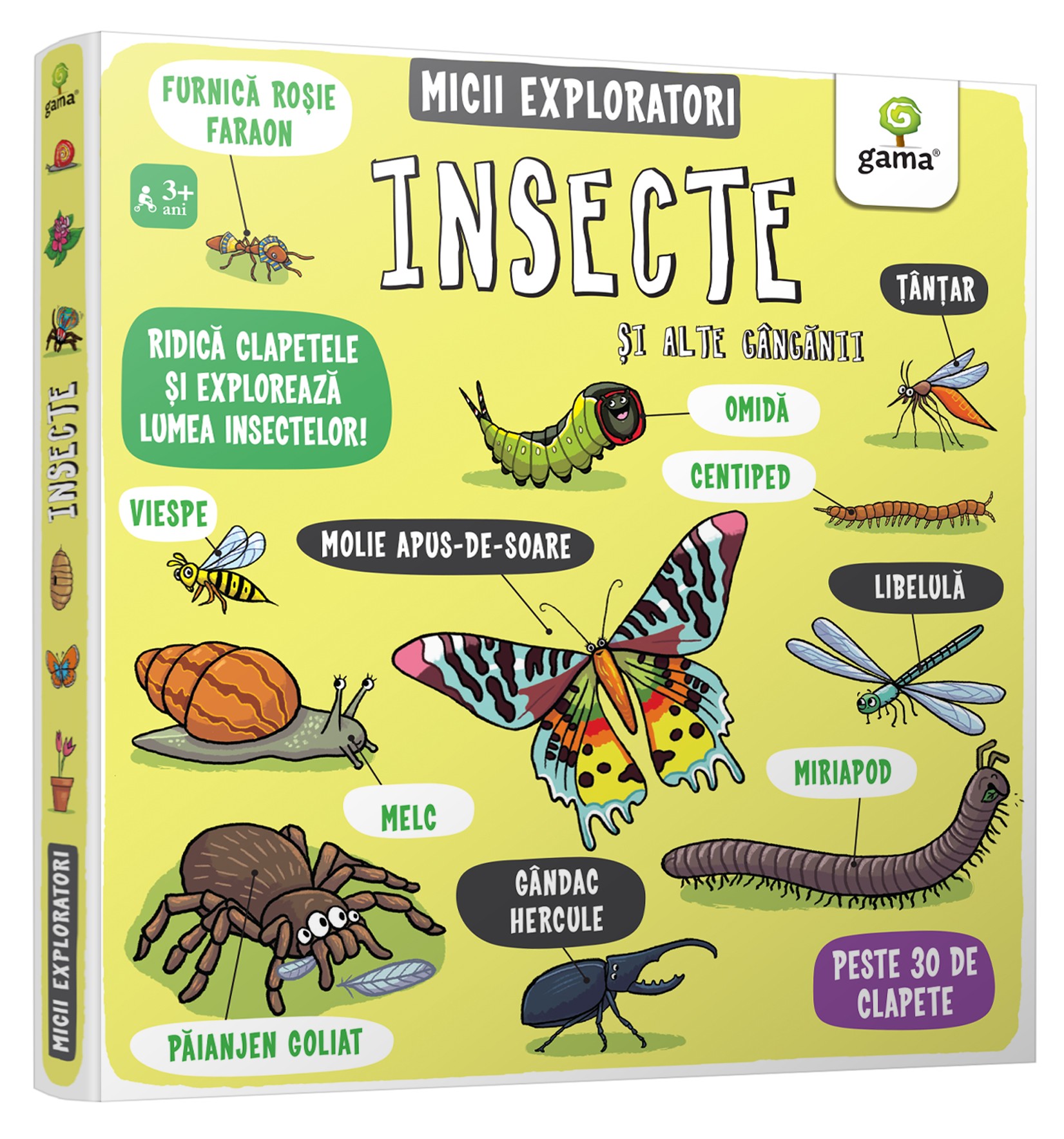 Insecte si alte ganganii | carturesti.ro poza noua