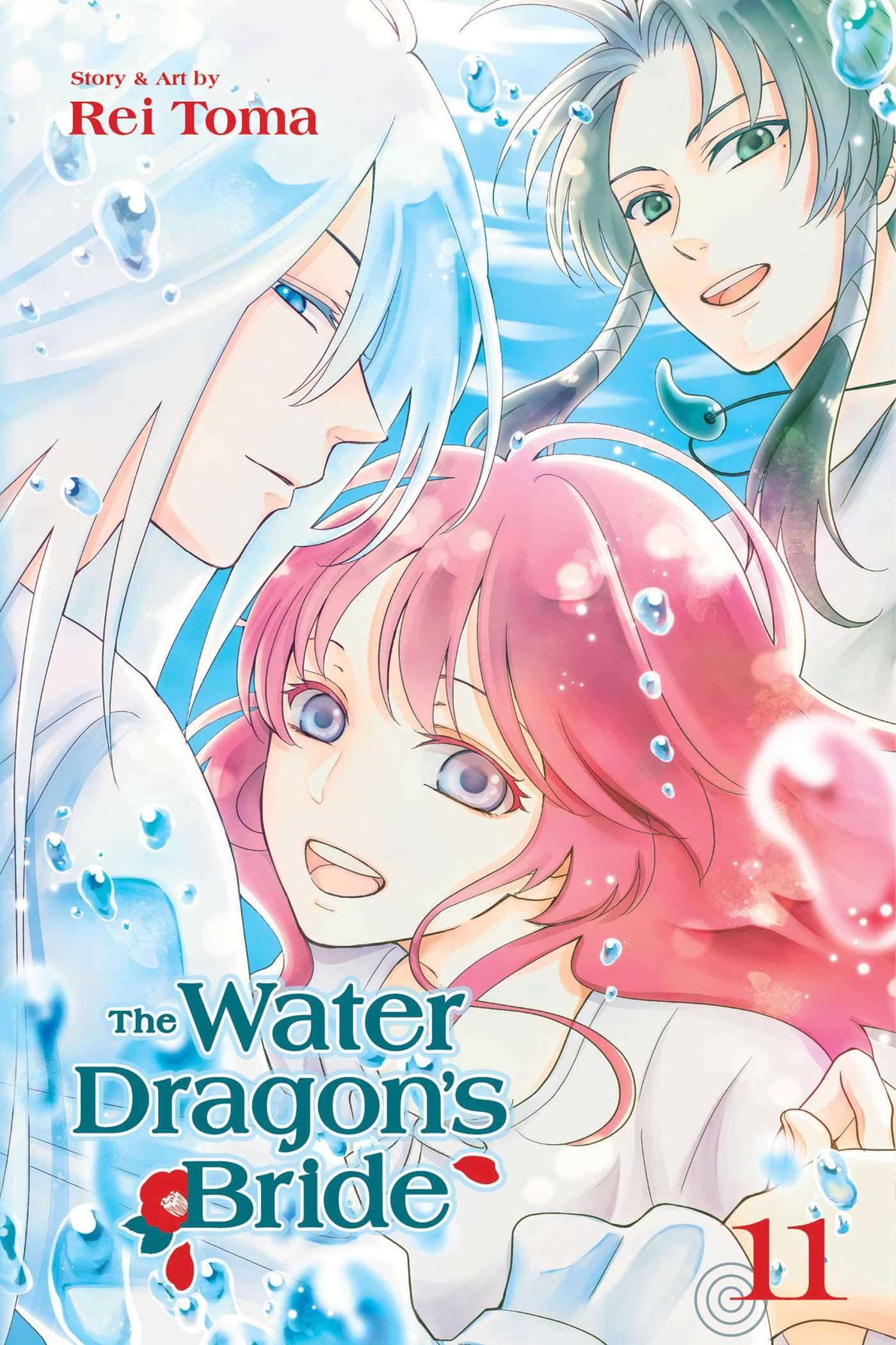 The Water Dragon\'s Bride - Volume 11 | Rei Toma