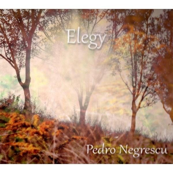 Elegy | Pedro Negrescu