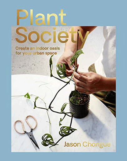 Plant Society | Jason Chongue