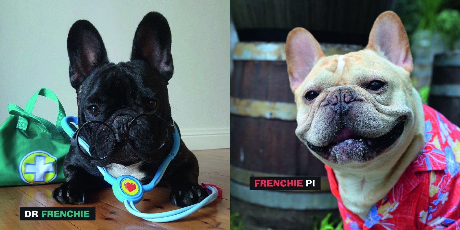 Fancy Frenchies : French Bulldogs in Costumes | Pop Press - 3 | YEO