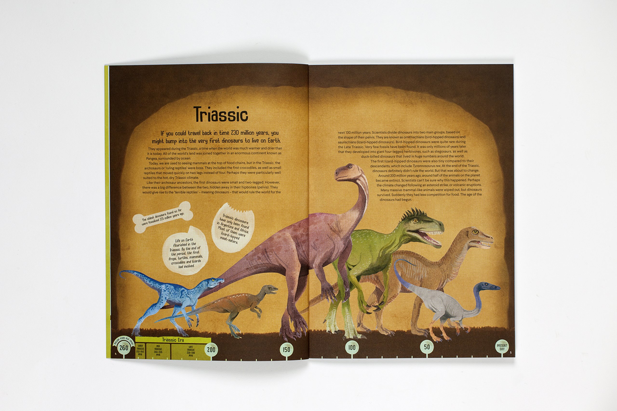 Terrific Timelines: Dinosaurs | Richard Ferguson, Rude van Ryn - 3 | YEO