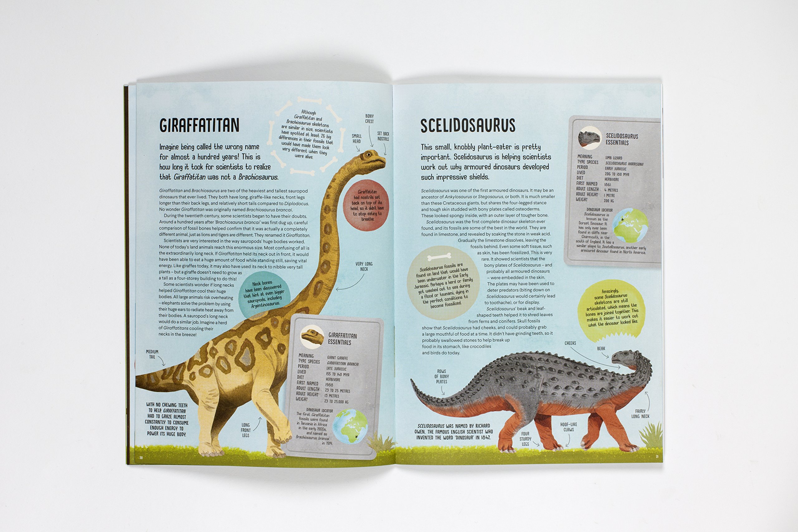 Terrific Timelines: Dinosaurs | Richard Ferguson, Rude van Ryn - 2 | YEO