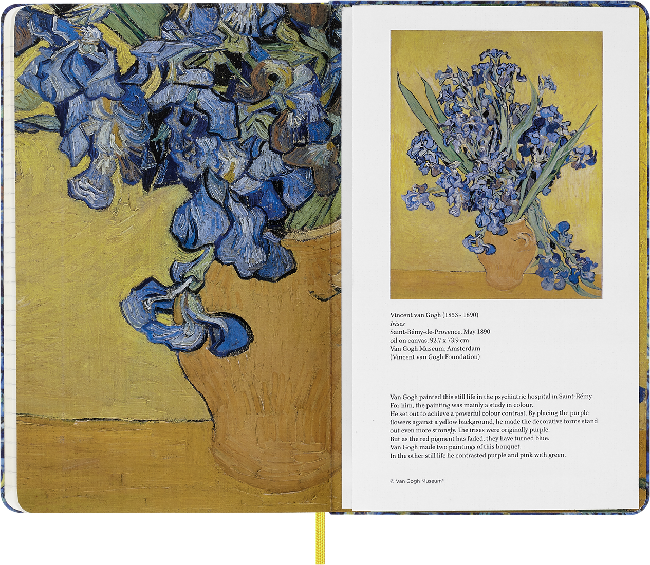 Carnet - Van Gogh Museum Limited Edition Notebook - Hard cover, Large, Ruled | Moleskine - 3 | YEO