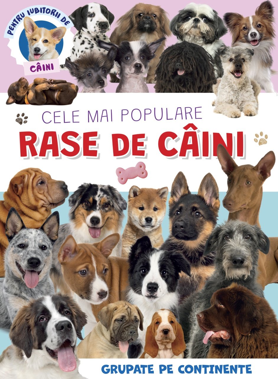 Cele mai populare rase de caini |