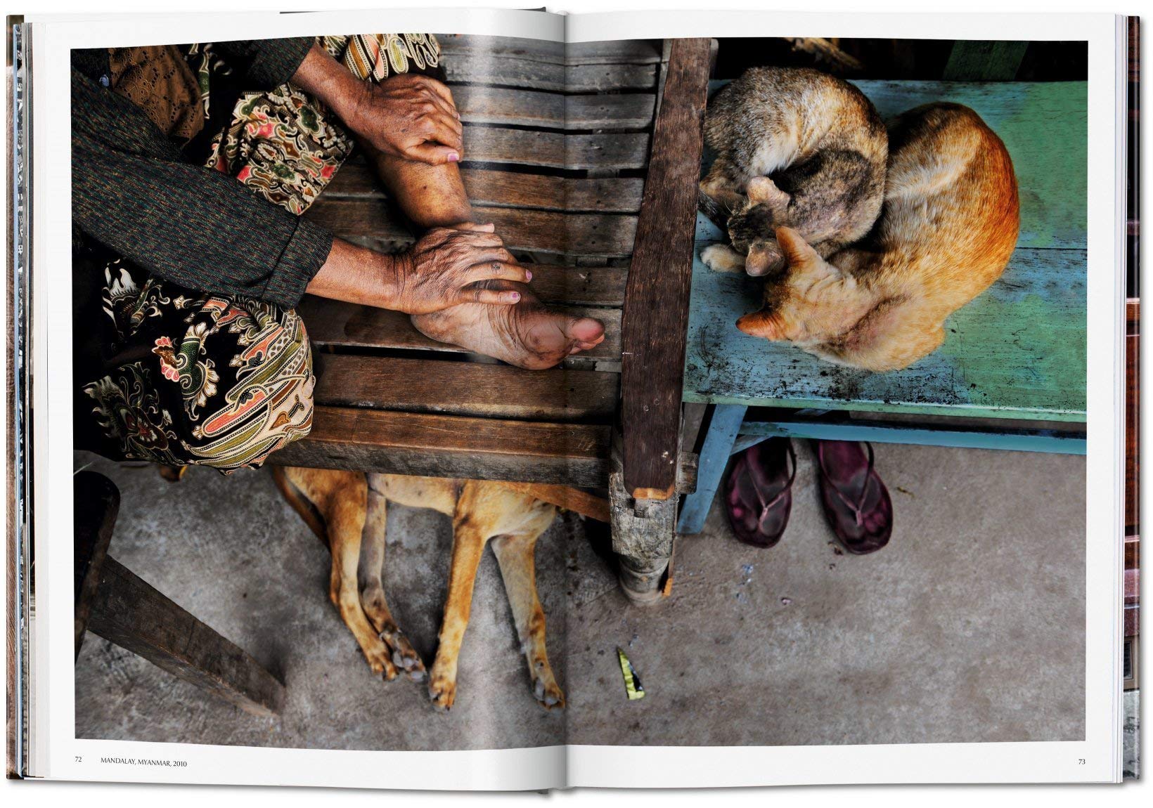 Steve McCurry. Animals | - 4 | YEO