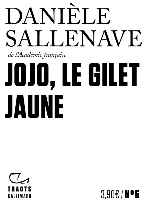 Jojo, le Gilet jaune | Daniele Sallenave