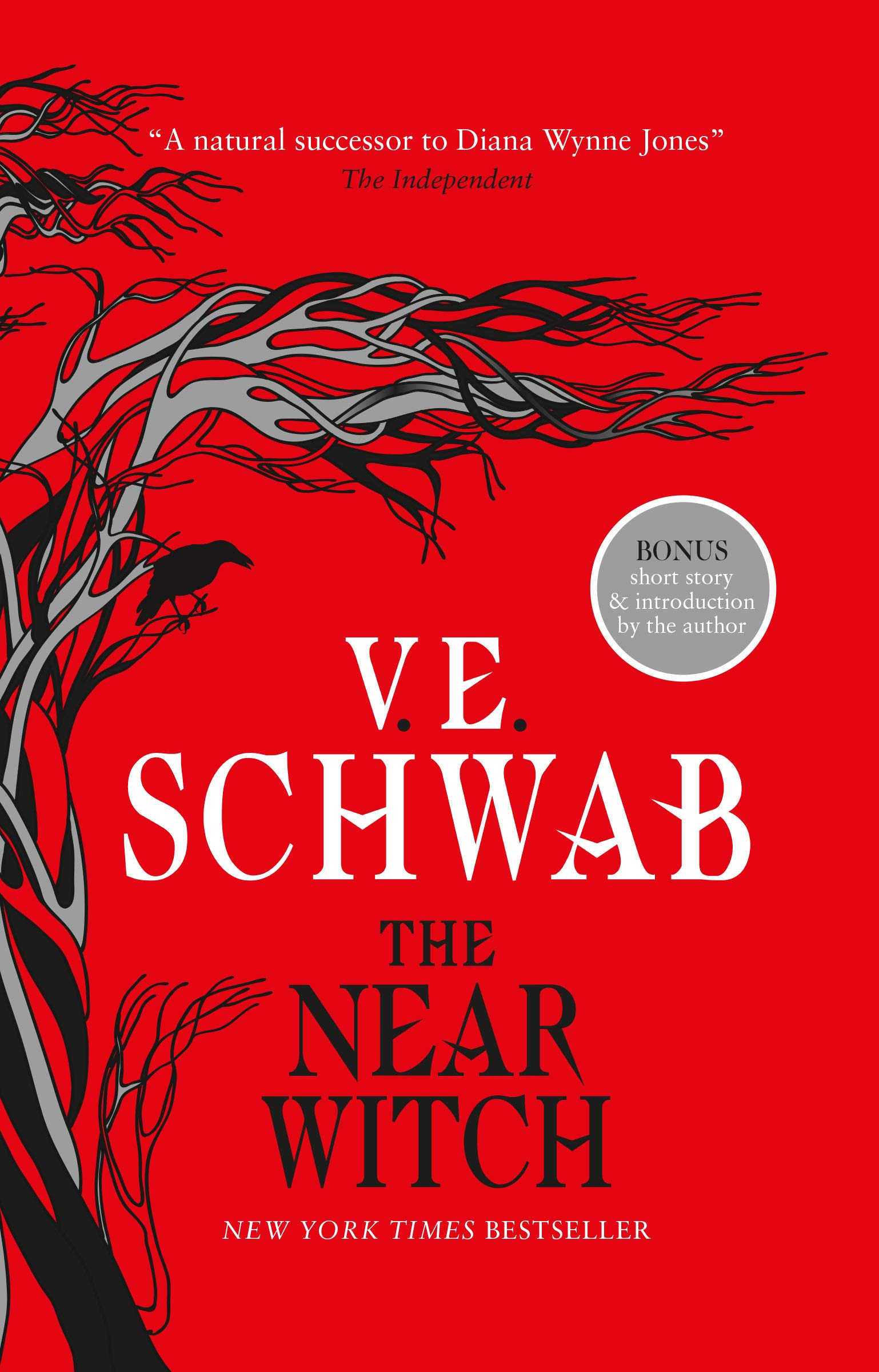 The Near Witch | V.E. Schwab