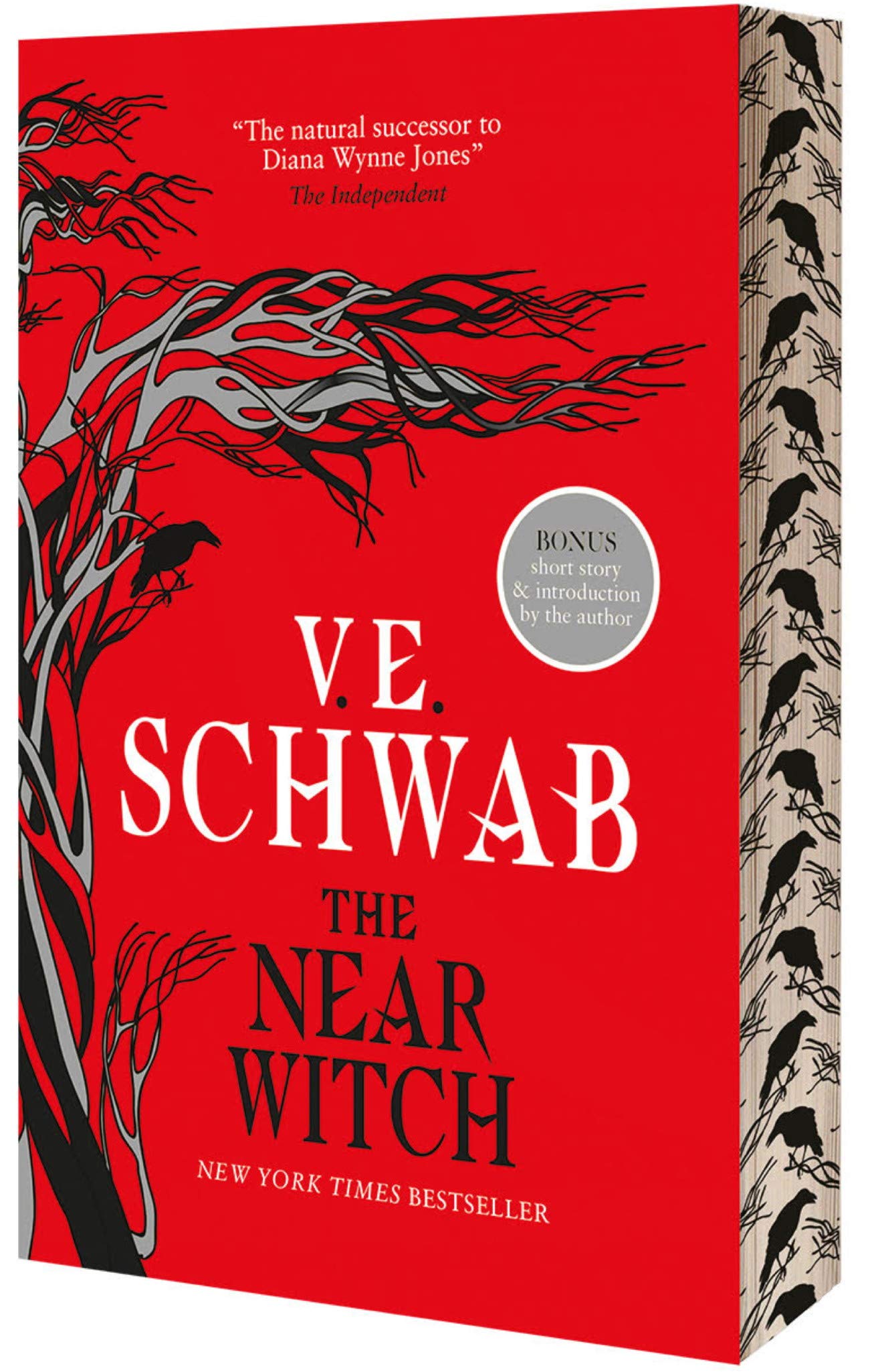 The Near Witch | V.E. Schwab - 1 | YEO