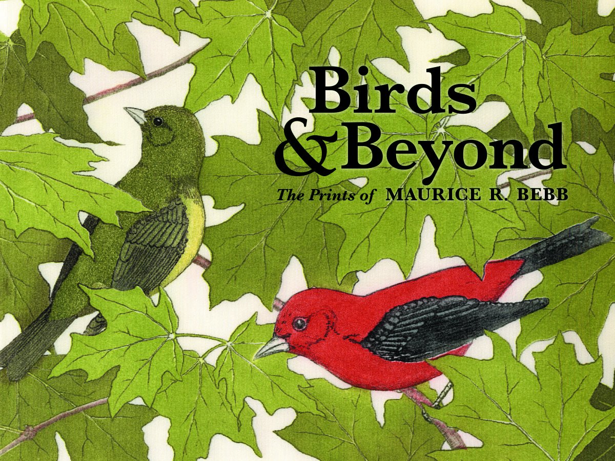 Birds & Beyond the Prints of Maurice R. Bebb | Cori Sherman North