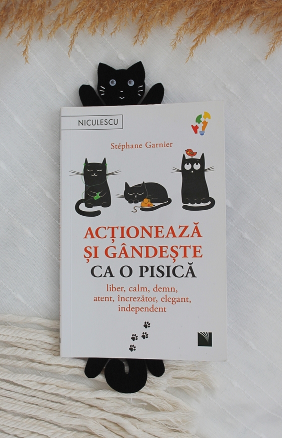 Semn de carte - Pisica castravete negru | Ana Crafts - 3 | YEO