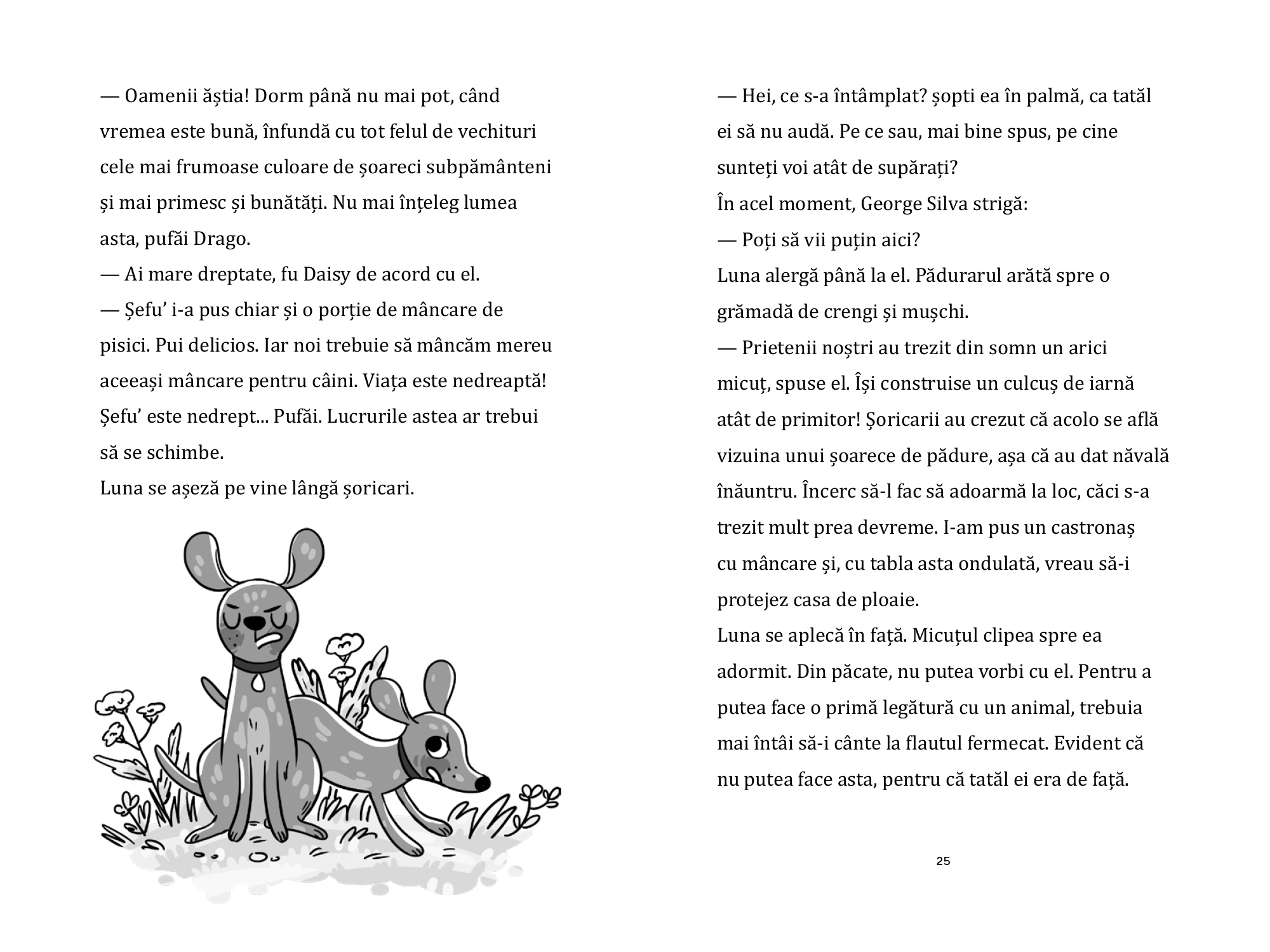 Un arici cazut intr-un somn adanc | Usch Luhn