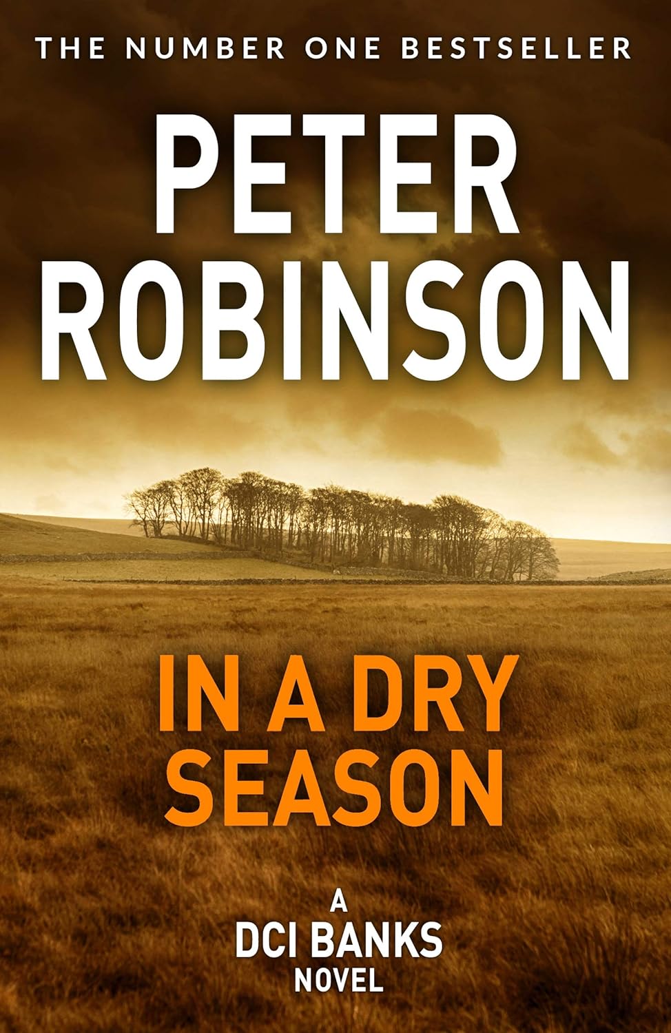 In A Dry Season | Peter Robinson - 1 | YEO