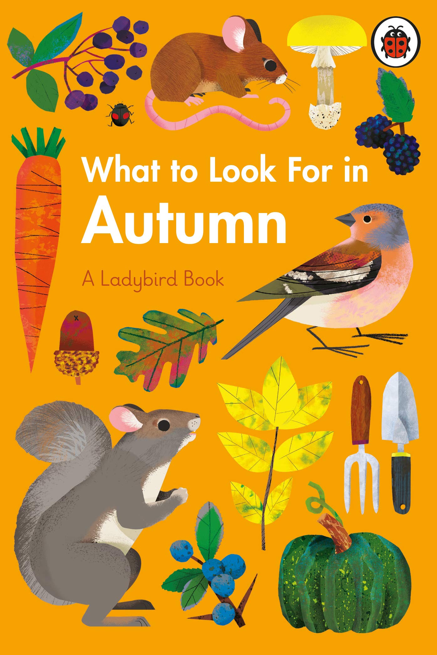 What To Look For In Autumn | Elizabeth Jenner