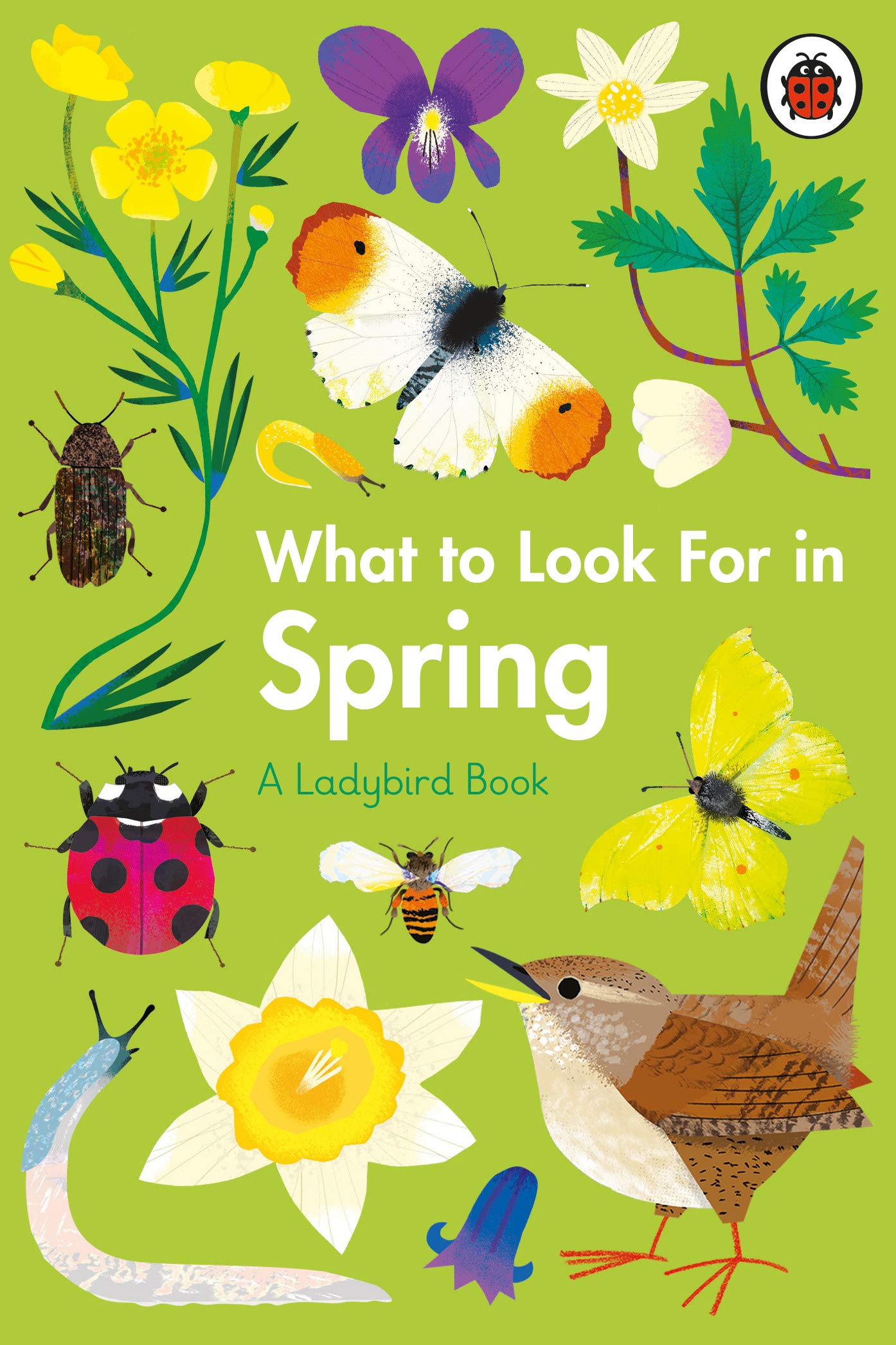 What To Look For In Spring | Elizabeth Jenner