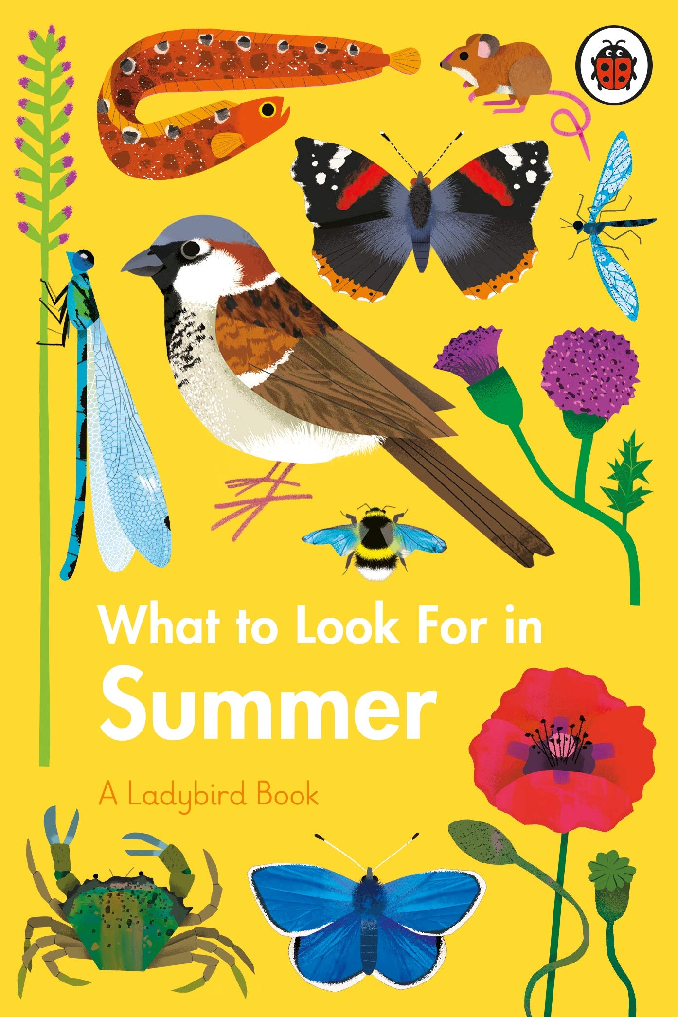 What To Look For In Summer | Elizabeth Jenner