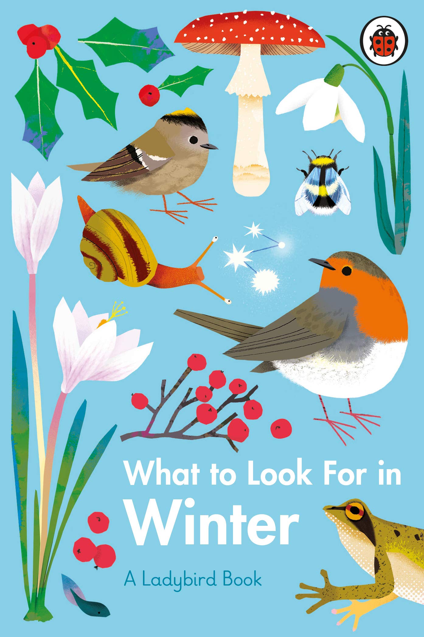 What To Look For In Winter | Elizabeth Jenner