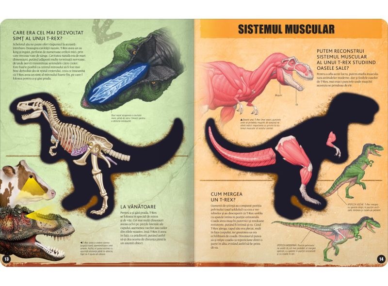 T-Rex |
