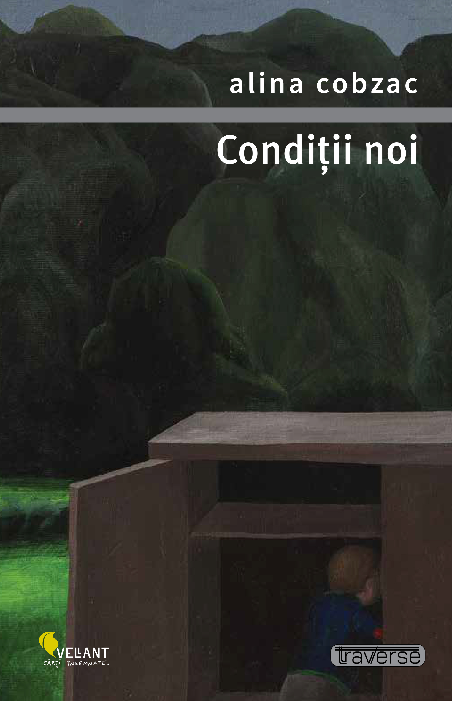 Conditii noi | Alina Cobzac