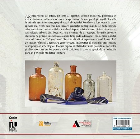Sub pasii nostri | Vasile Opris