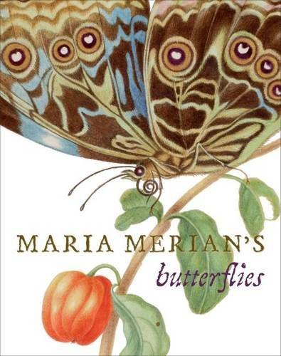 Maria Merian\'s Butterflies | Kate Heard