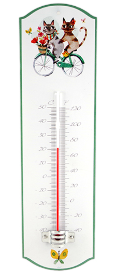 Termometru - Yves | Faye Sas