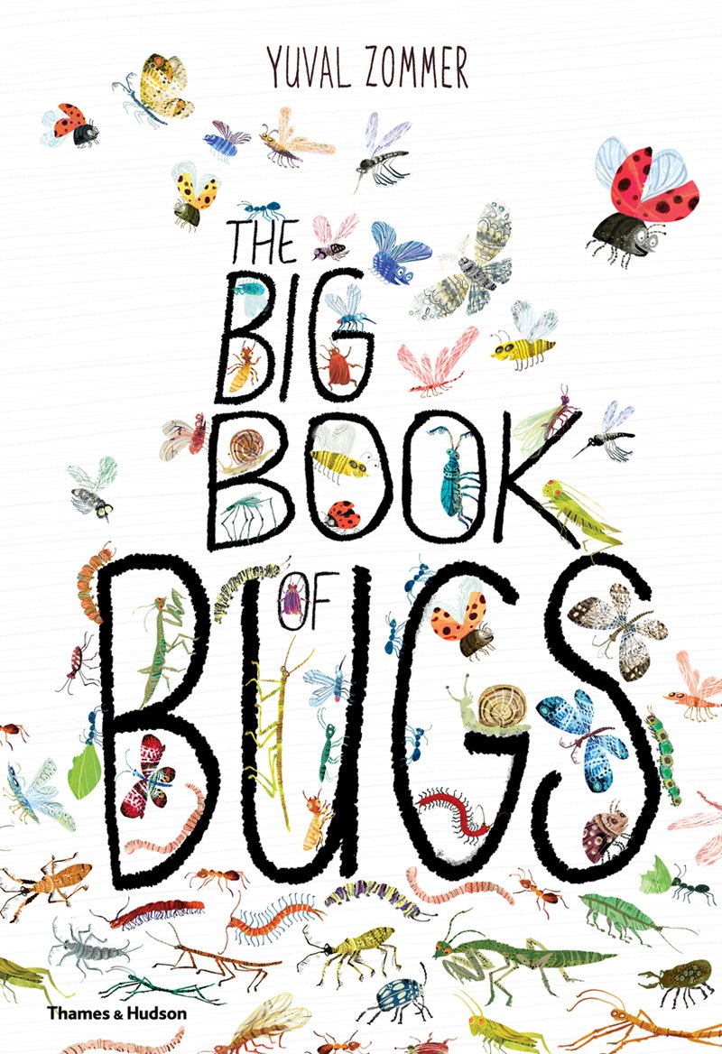 The Big Book of Bugs | Yuval Zommer, Barbara Taylor