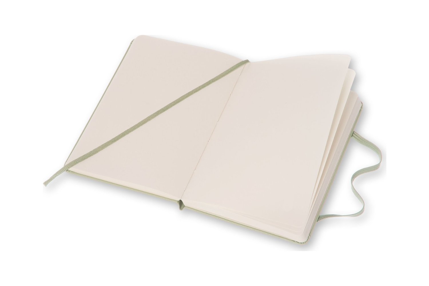 Moleskine Willow Green Pocket Plain - Notebook Hard | Moleskine