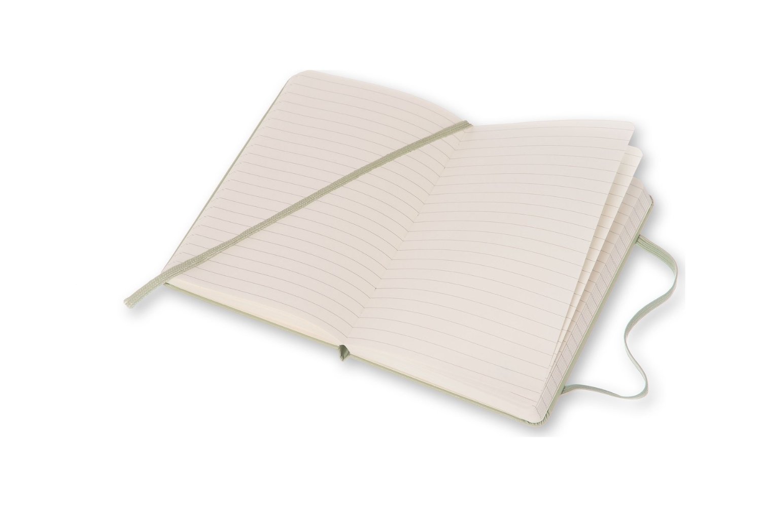 Moleskine Willow Green Pocket Ruled - Notebook Hard | Moleskine