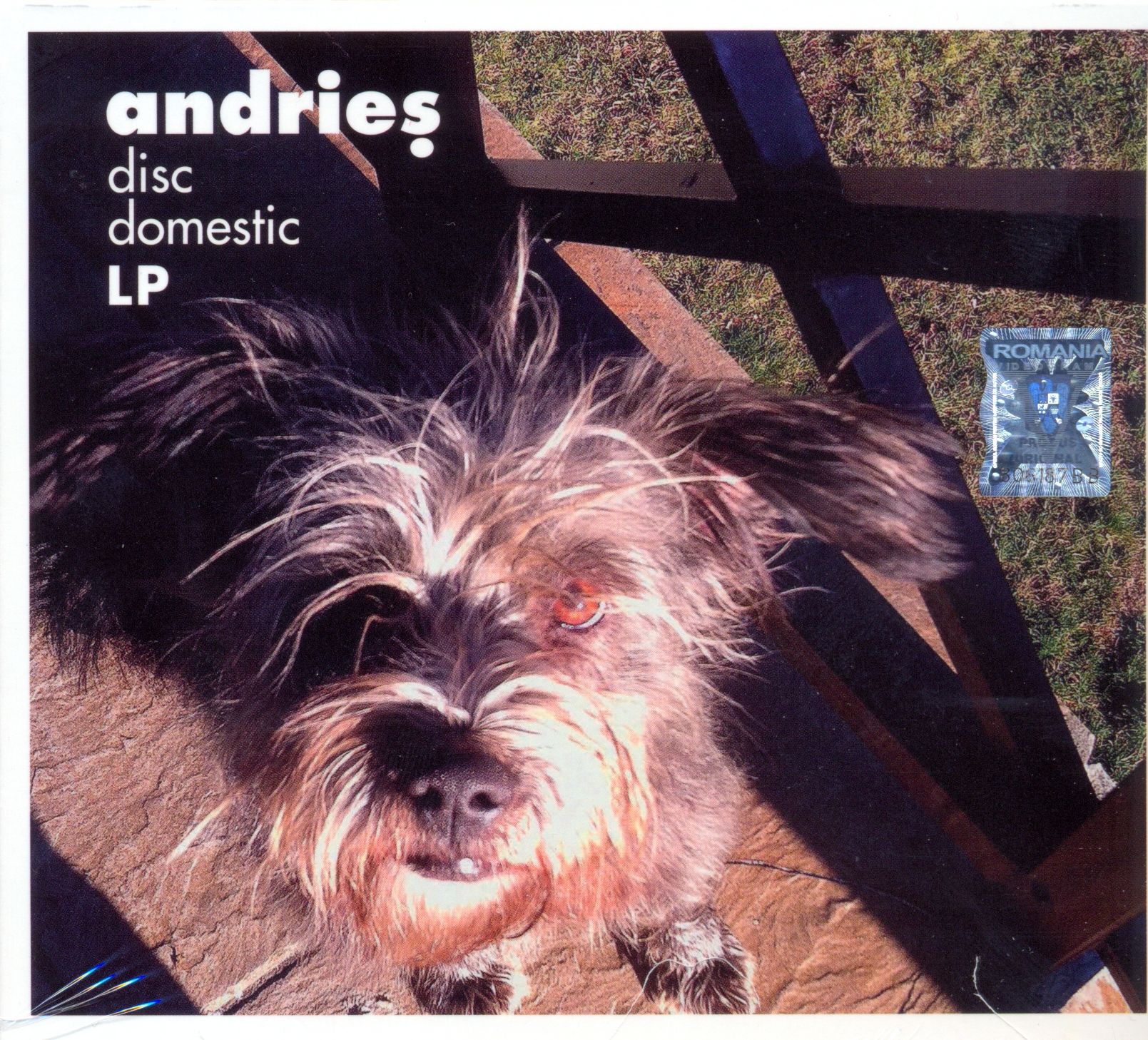 Disc domestic | Alexandru Andries