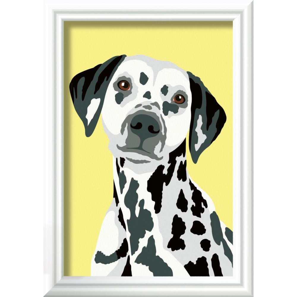 Set pictura pe numere - Caine dalmatian | Ravensburger