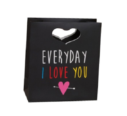 Punga pentru cadouri - Everyday I Love You | Really Good