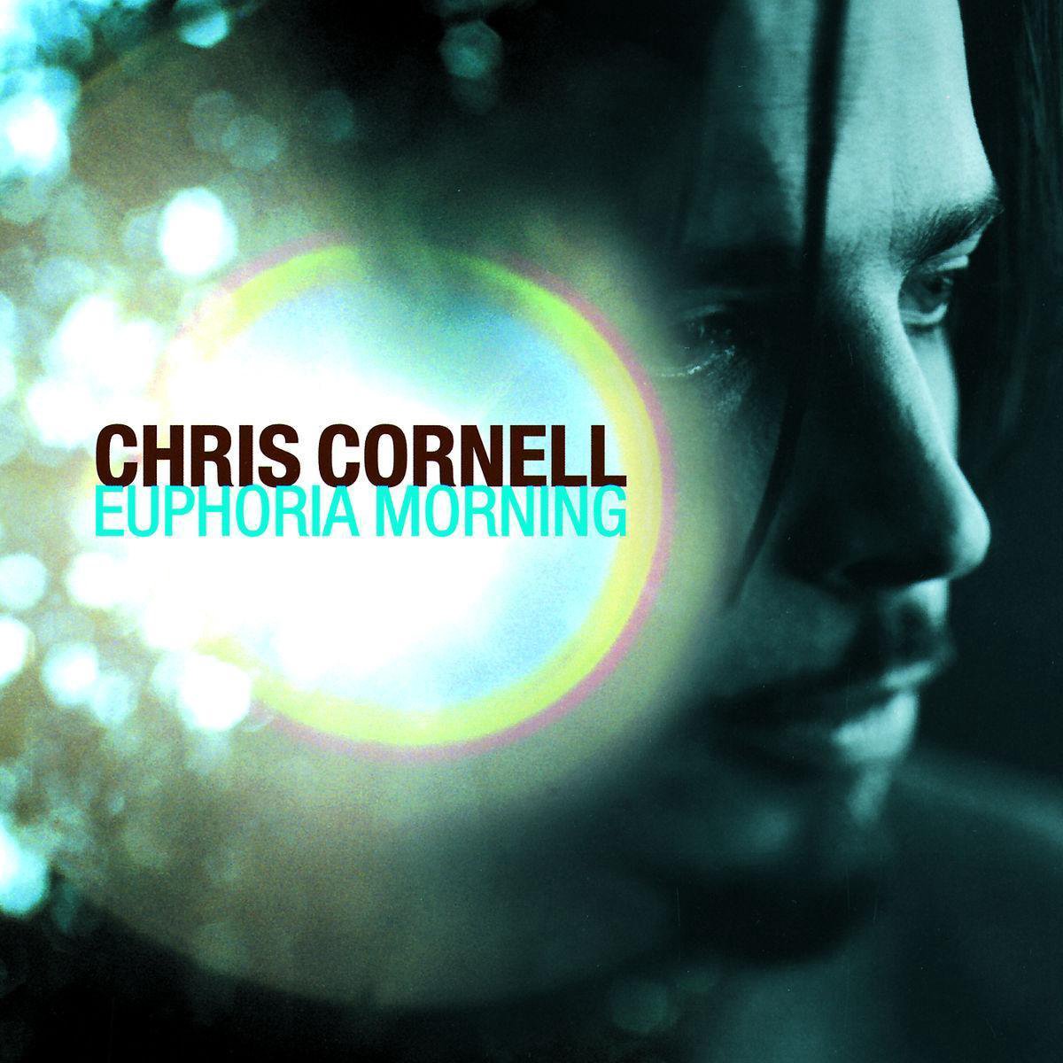 Euphoria Morning | Chris Cornell image7