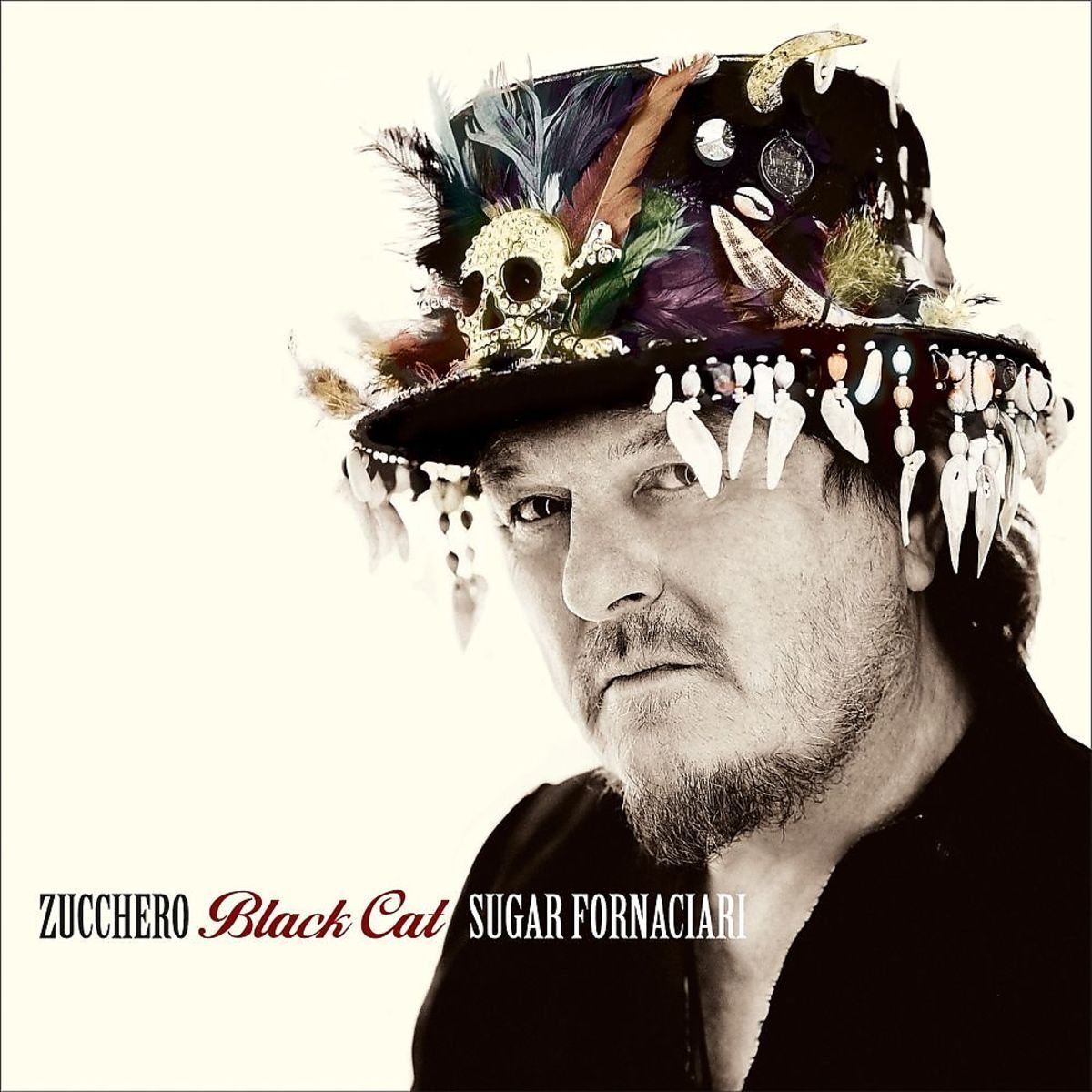 Black Cat | Zucchero