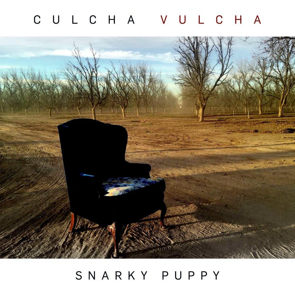 Culcha Vulcha | Snarky Puppy