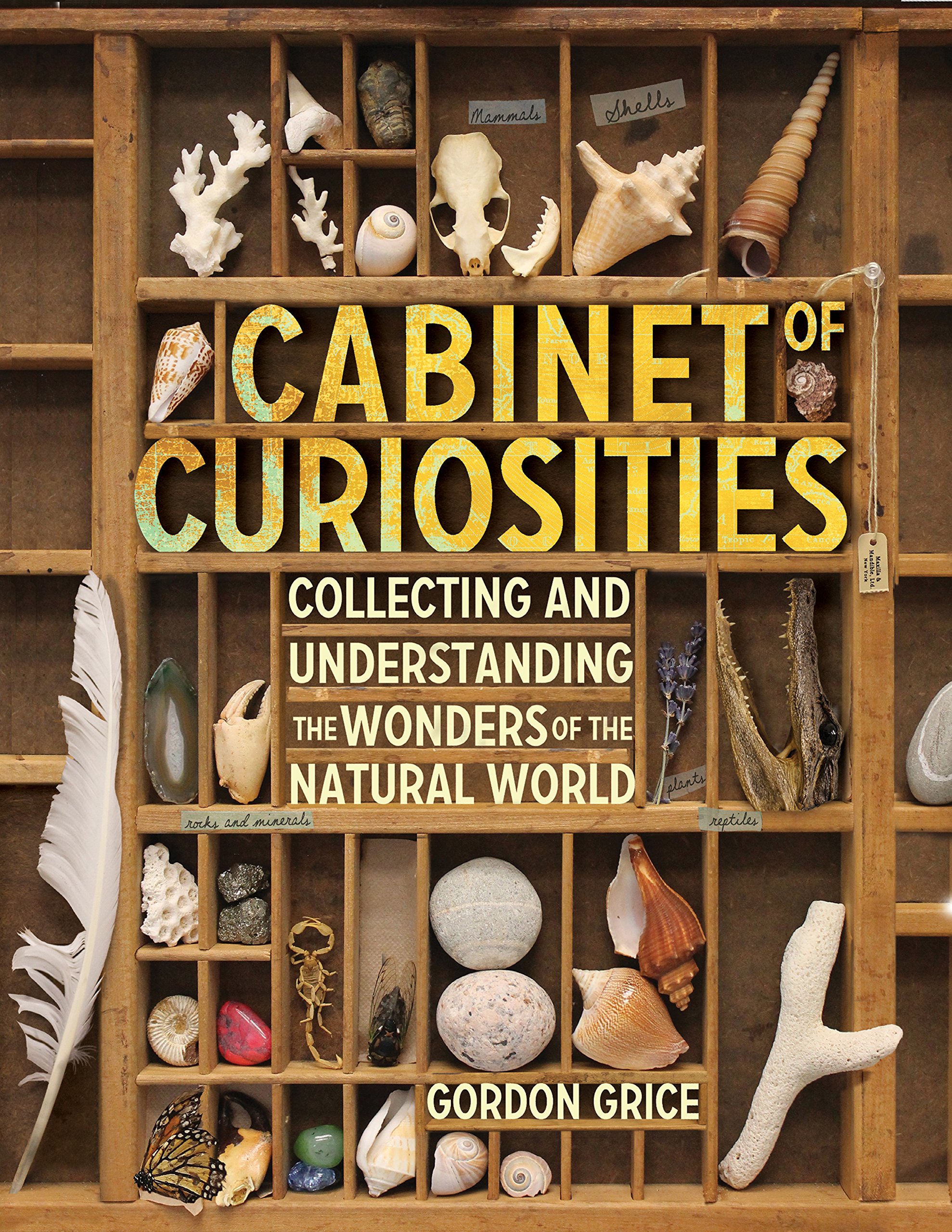 Cabinet of Curiosities | Gordon Grice