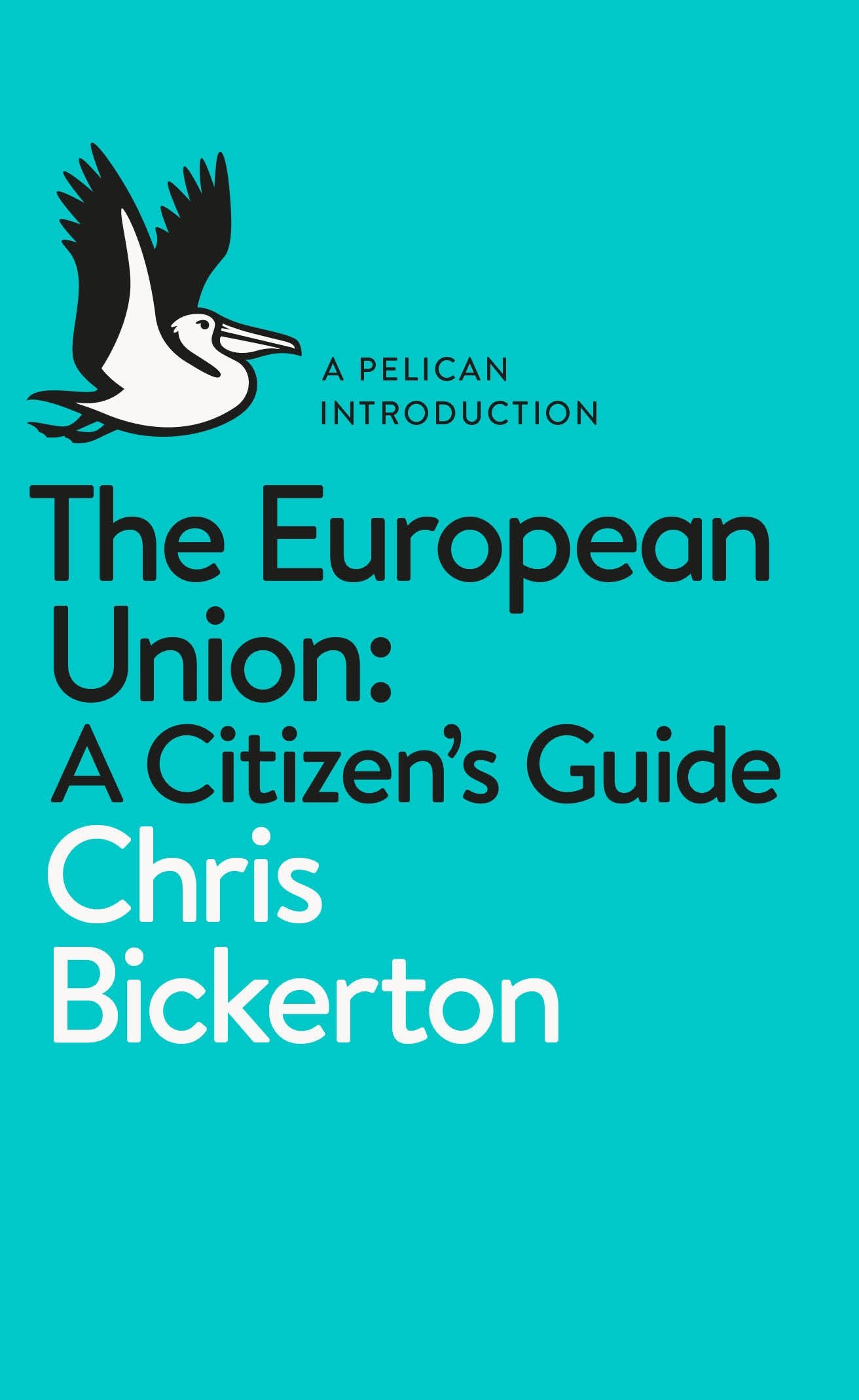 The European Union - A Citizen\'s Guide | Chris Bickerton