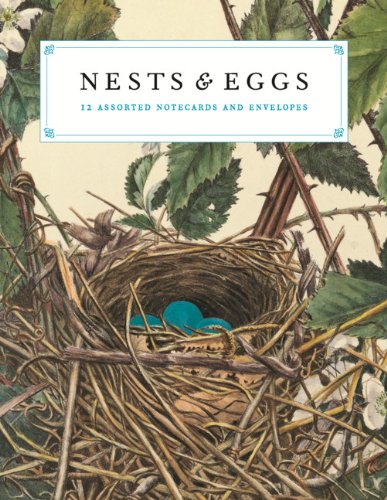 Carte postala - Nests and Egg - mai multe modele | Princeton Architectural Press