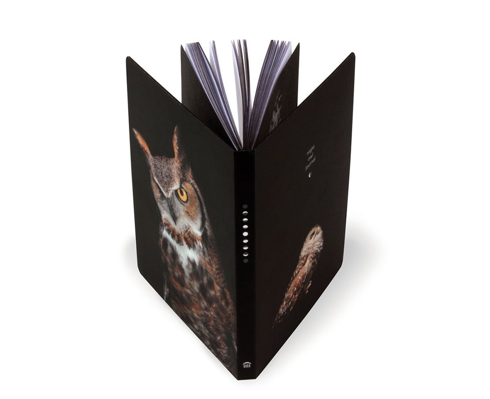 Carnet - Night Owl | Princeton Architectural Press