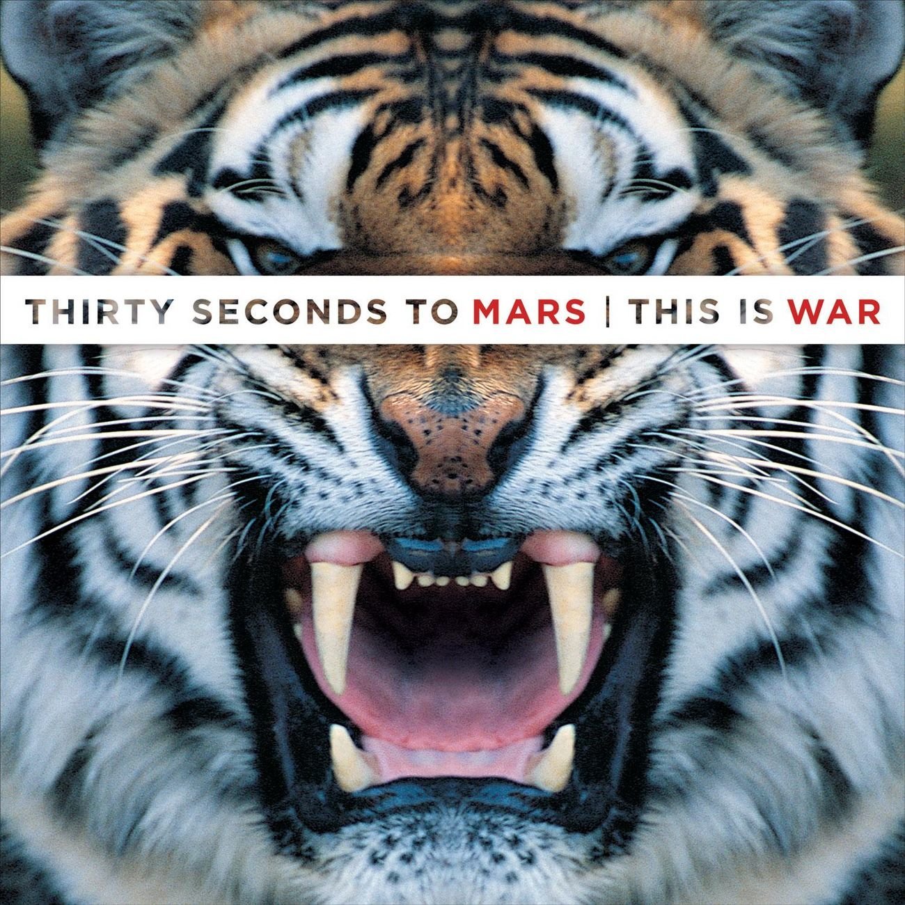 This Is War | Thirty Seconds To Mars